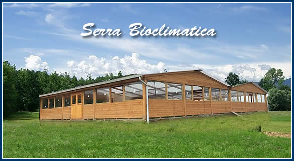 Novita' 2020, la nostra Serra Bioclimatica, Via Montevisi, vicino Pontedera (PI)