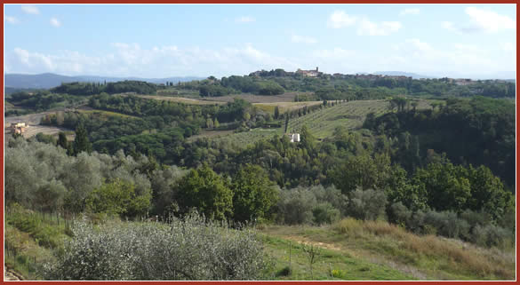 Nestled in the hills of rural Tuscany